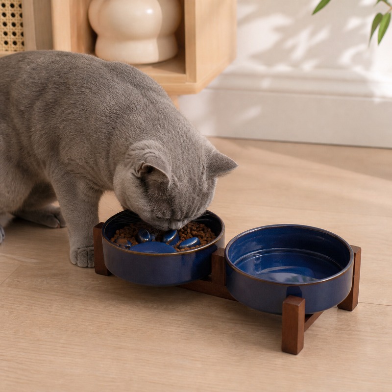 Mangkuk Keramik Gaya Jepang un - Royal Canin Food Medium ulasan dan harga