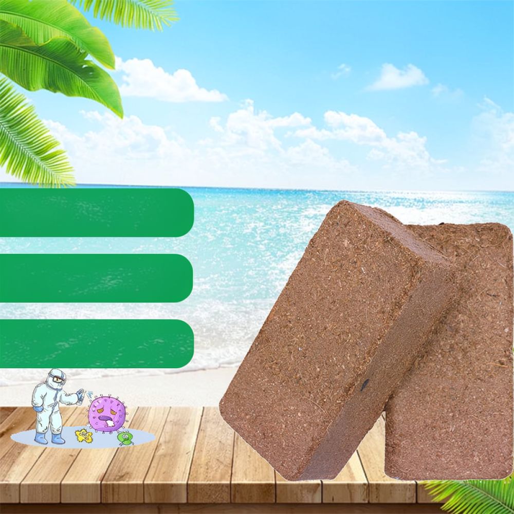 Media Tanam Briket Sabut Kelap - Substrate Coconut Fiber ulasan dan harga